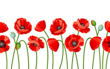 Vector Horizontal Seamless Background With Red Poppies On A White Background.