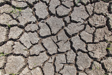 Dry Soil With Dramatic Cracks Caused By The Lack Of Water