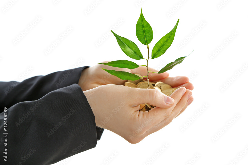 Hands holding plant sprouting from a handful of coins on white background
