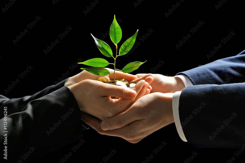 Hands with plant sprouting from a handful of coins on black  background