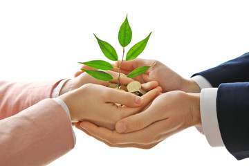 Wall Mural - Hands with plant sprouting from a handful of coins on white background