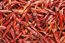 Dried Red Chili Pepper Background