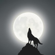 Full Moon And The Wolf