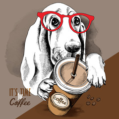 Wall Mural - Poster with the image of a Basset Hound dog with glasses and coffee. Vector illustration.