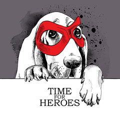 Wall Mural - The poster with the portrait of the dog Basset Hound wearing the mask of hero. Vector illustration.