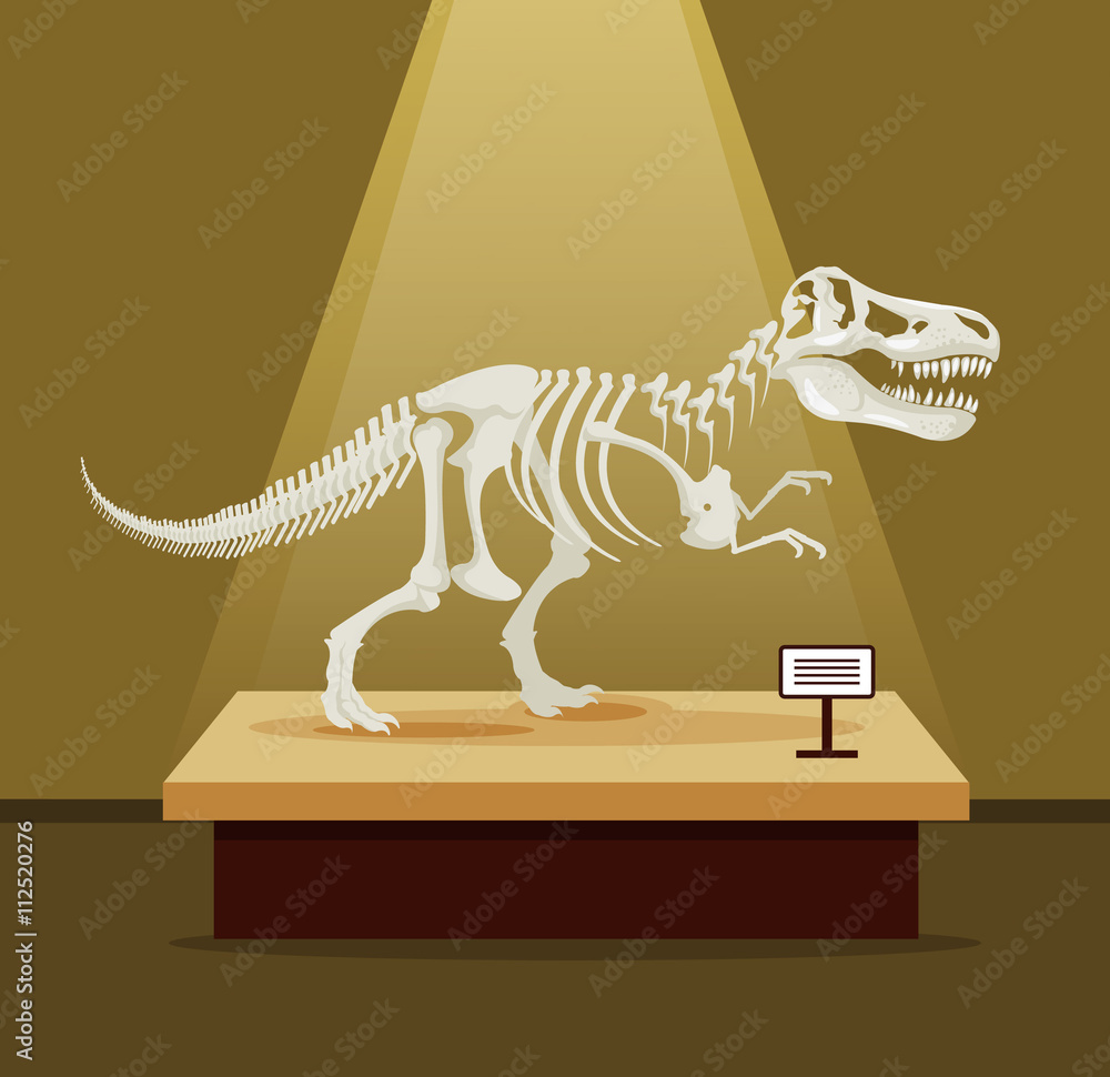Tyrannosaur Rex bones skeleton in museum exhibition. Vector flat cartoon  illustration. Dinosaurs museum Stock Vector | Adobe Stock, image size:1000x970