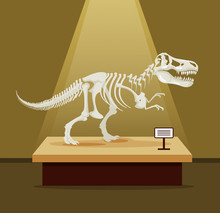 Tyrannosaur Rex Bones Skeleton In Museum Exhibition. Vector Flat Cartoon Illustration. Dinosaurs Museum