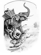 Old Novel Illustration: Tiger Hunting