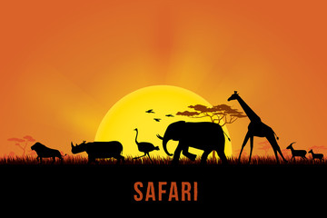 Vector illustration of Africa landscape with wildlife and sunset background. Safari theme