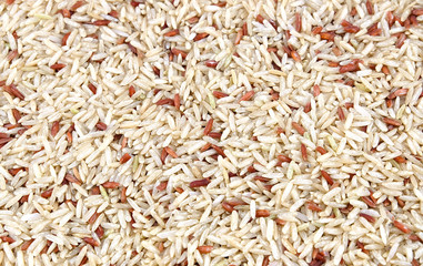 Whole frame of brown rice