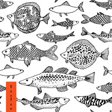 Japan Sea Fish Illustration In Vector.