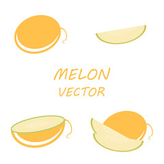 Wall Mural - Vector flat melon icons set