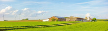 Farm Panorama Surrounded By Meadow / Field