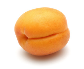 Sticker - Apricot