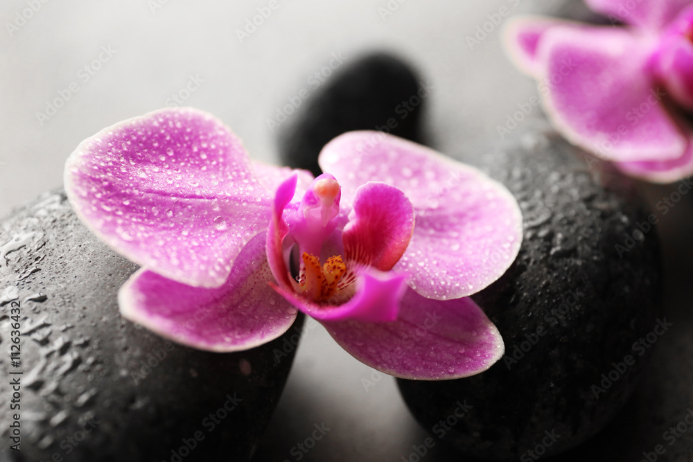 Spa stones and orchids, closeup