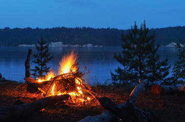 Wall Mural - Night bonfire on the river