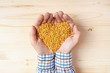 Handful of harvested wheat grains heart-shaped pile, top view