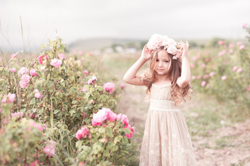 Smiling kid girl 4-5 year old wearing wreath with roses in meadow. Looking at camera. Childhood.