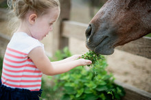 Young Girl Feeding Horse Plants