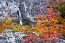 Chorrillo Del Salto Waterfall With Autumn Colors