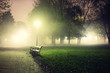 © Lukas Furlan - Bench in empty park at night