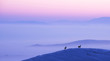 © Linda Bembridge - Deer in Winter at Sunrise Overlooking Misty Landscape