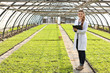 © Africa Studio - Female farmer working in large greenhouse