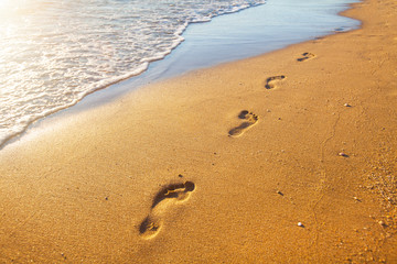 Wall Mural - beach, wave and footprints at sunset time