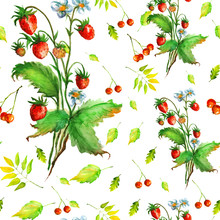     Watercolor Seamless Pattern - Wild Strawberry, Red Berries, Green Leaves. Watercolor 
