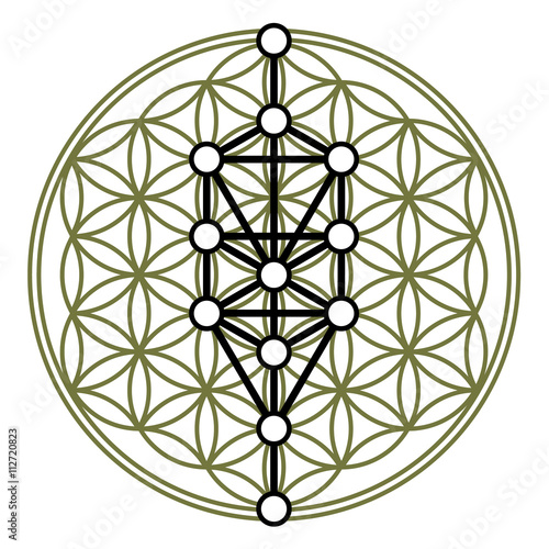 Flower of life, 12 Sephirot, Tree of life, Kabbalah - Buy this stock ...