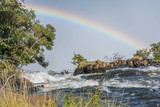 Fototapeta Tęcza - Rainbow seen from island in Victoria Falls