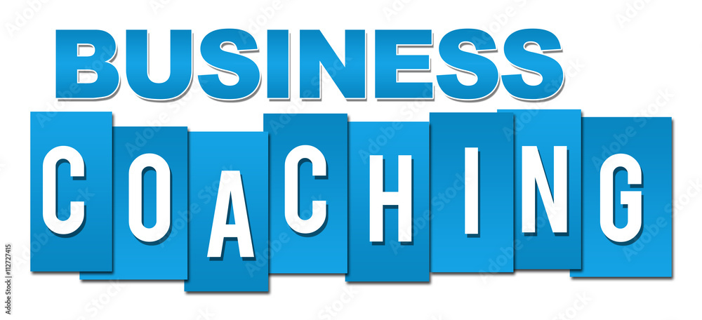 Business Coaching Professional Blue 
