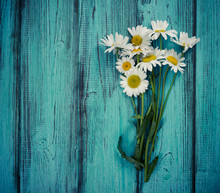 Bouquet Of Chamomiles On Blue Vintage Wooden Background.