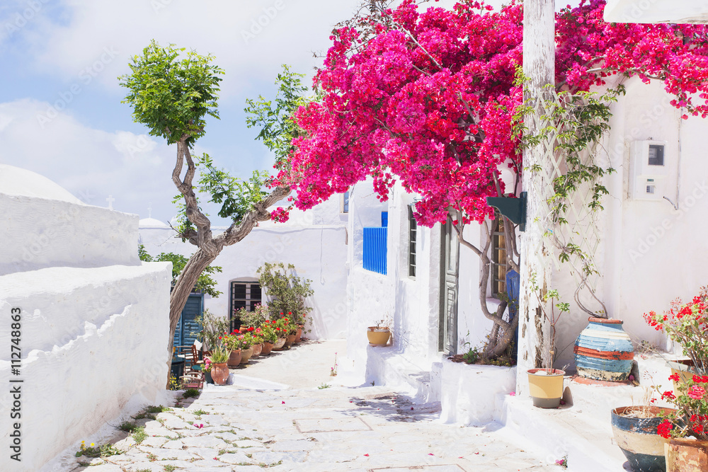 Traditional greek street with flowers in Amorgos island, Greece - obrazy, fototapety, plakaty 