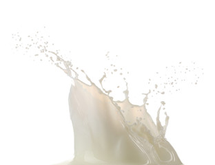 Wall Mural - Milk splash, closeup