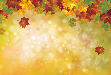 Vector autumnal leaves on bokeh background.
