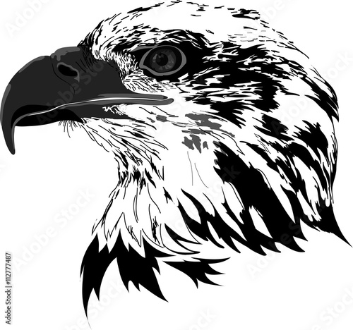 Black eagle Stock Vector | Adobe Stock