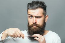 Bearded Man With Hair Brush