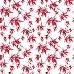 Wall Mural - Japanese red maple leaves. Repeating pattern. Water color