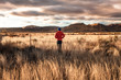 © Thomas Ciszewski - Rear view of person looking at view of mountains