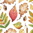 Watercolor illustrations of leaves. Seamless pattern