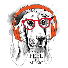 Wall Mural - The image dog Basset Hound portrait in the headphones. Vector illustration.