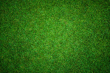 Wall Mural - Beautiful green grass pattern from golf course