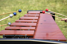Xylophone With Playing Hands. Red Xylophone For Marimba. Music Percussion Instrument On Grass Background. Wooden Xylophone With Drumsticks. Wooden Vibraphone With Players Hands. Hit To Instrument Keys