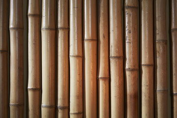  Wand aus Bambus