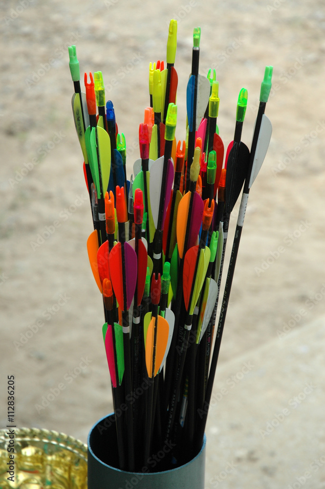 12 Flèches Séparateur Carquois Sport Épaule Support Tir