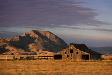 Old Barn In Front Of Bear Butte From Nine Mile Road Near Sturgis, South Dakota
