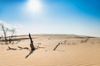 słońce na piaszczystej pustyni