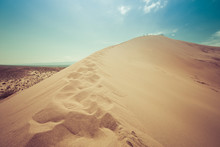 Desert Dunes, Big Dune In The Desert, Kazakhstan, Central Asia, Red Sand Dunes, Flowers In The Desert