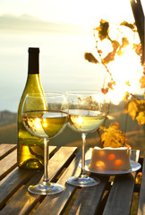 Wall Mural - Wine against vineyards in Lavaux, Switzerland